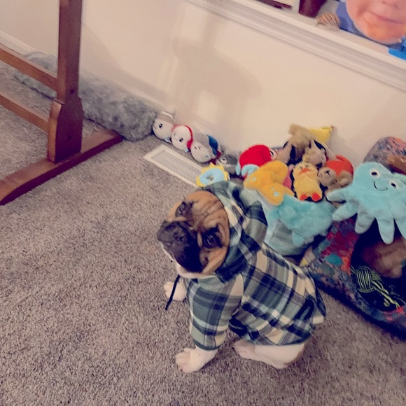 Matching Hoodies - Picture 4 of 16